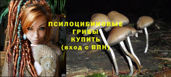 марки lsd Осташков